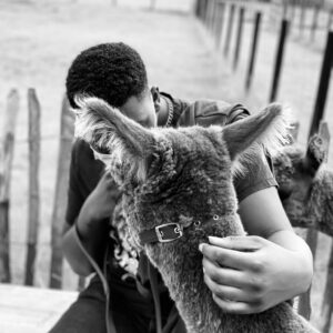 118346242_358976531772612_661485758159086477_n