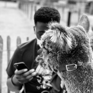 118645542_637655957159343_1832438488270705282_n