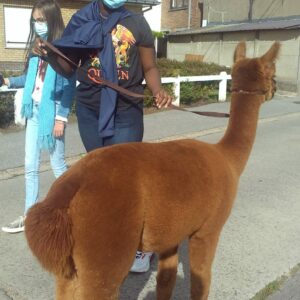 541c04ed-4e14-4c5c-87b1-ae92dd5fdac0