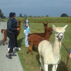 e22eedb6-fdd0-4b0e-95f6-a2fec85d5de1